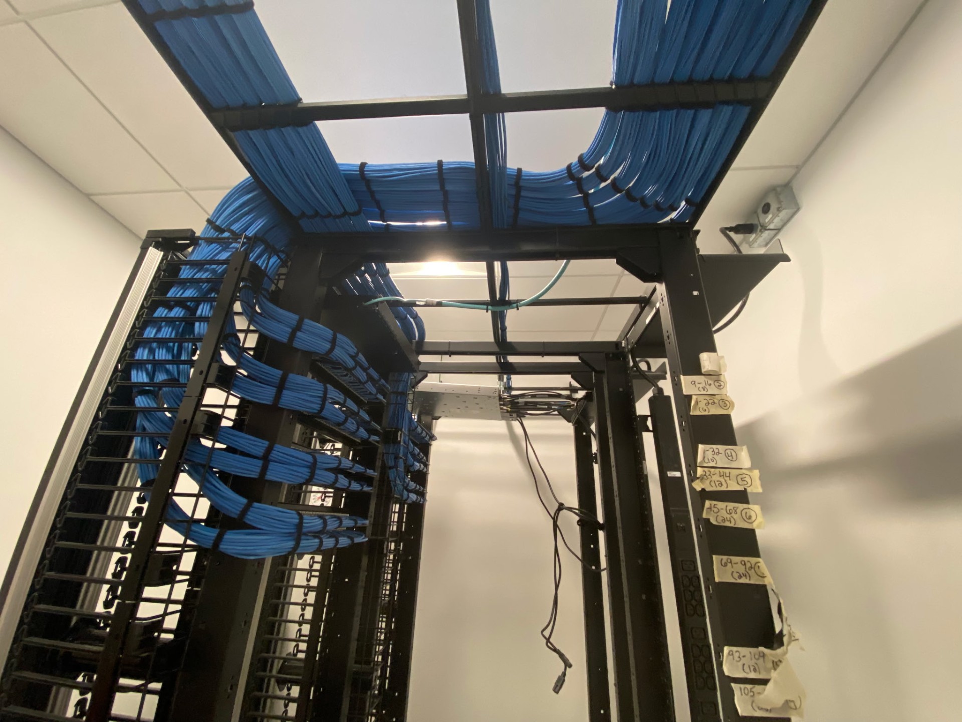 Overhead ladder tray with bundled CAT6 runs – Southern NH structured cabling